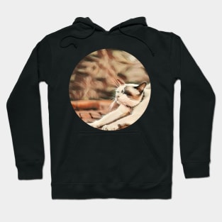 Cute floppy cat Hoodie